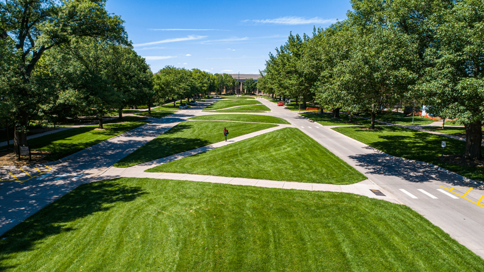 East campus green space with diagonal sidewalks