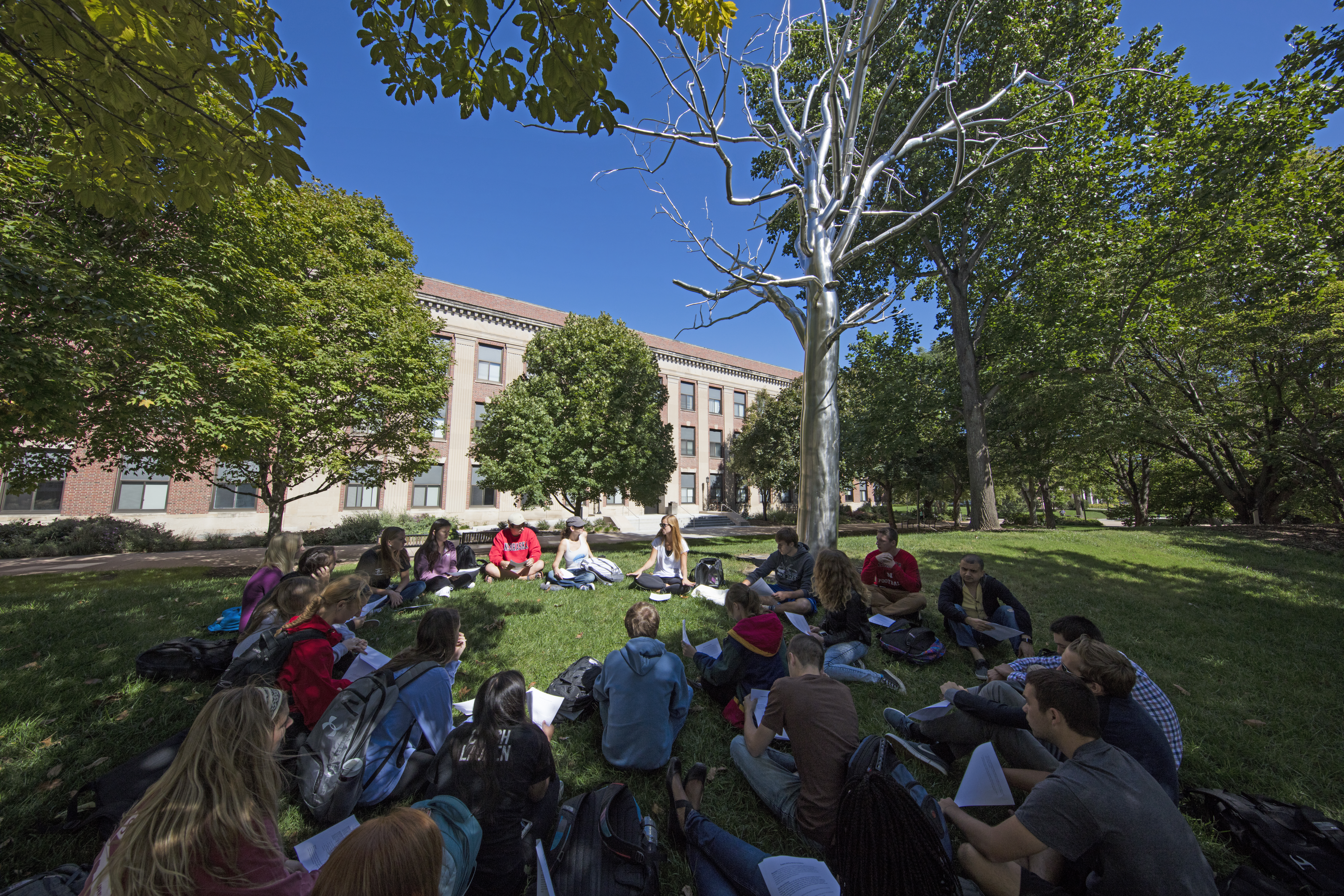 Image of a class happening outdoors