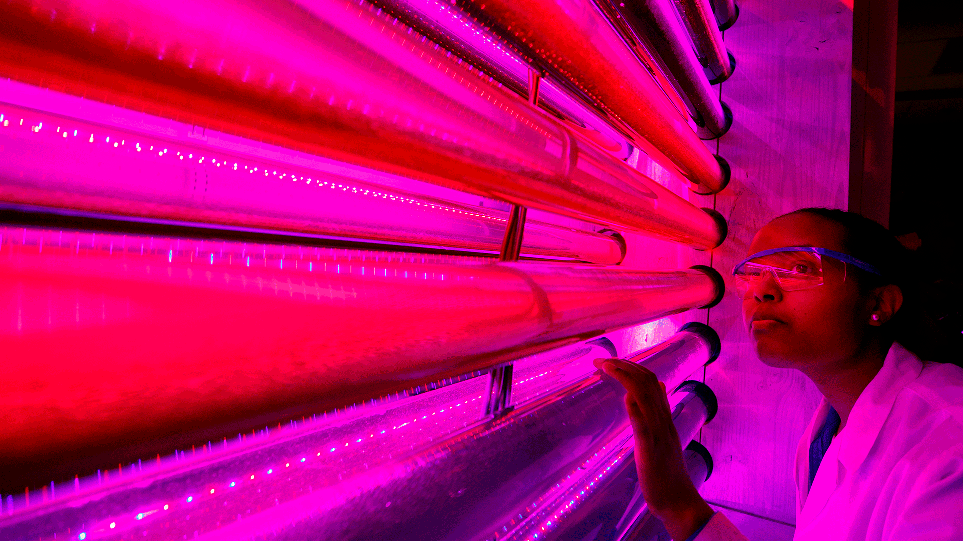 Researcher examines grow light tubes