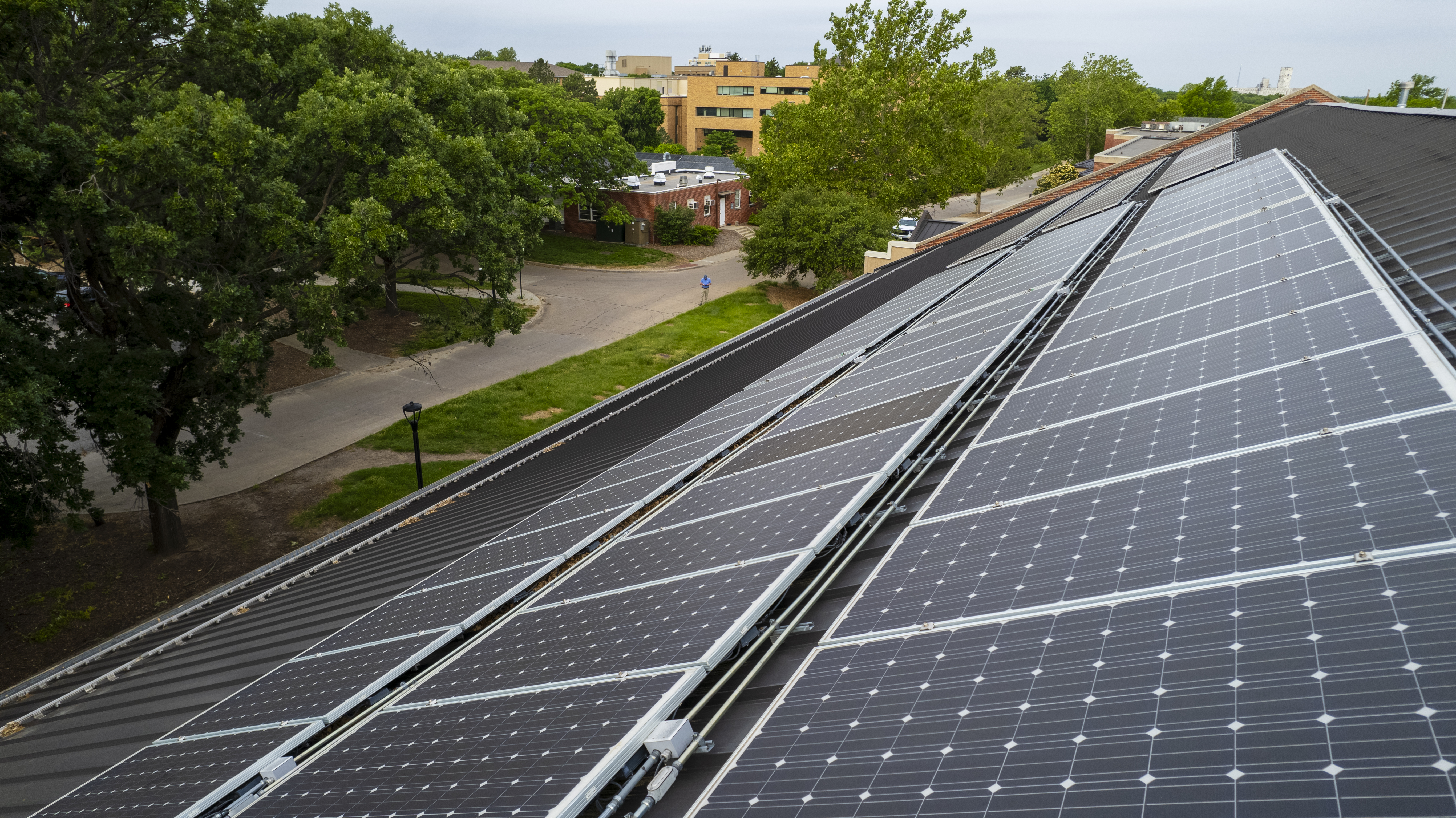 Solar Panel Array on Animal Sciences Complex Roof