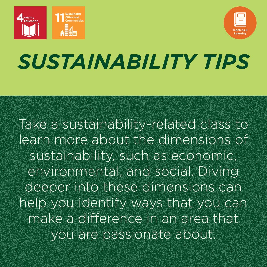 Make a difference by taking sustainability-related classes