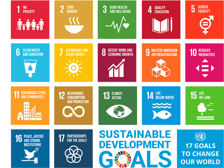 UN SDG icons