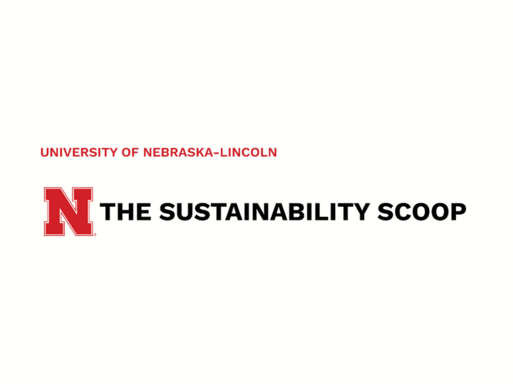 The sustainability scoop newsletter banner with text saying "the sustainability scoop"