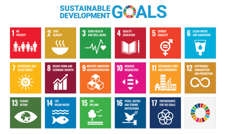 The United Nations has 17 Sustainable Development Goals